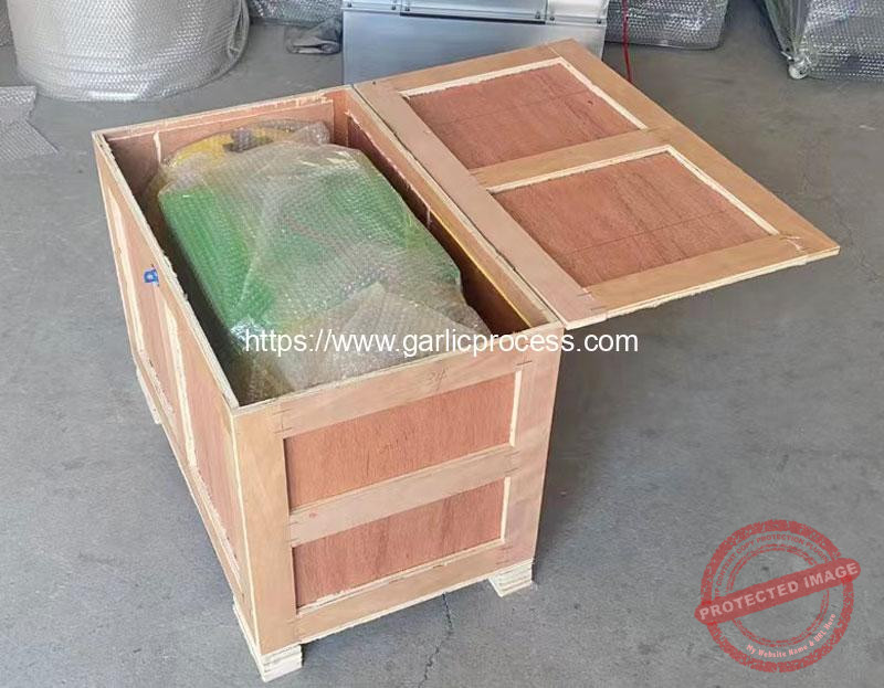 Automatic-Garlic-Root-and-Stem-Cutting-Machine-Delivery-for-USA-Customer